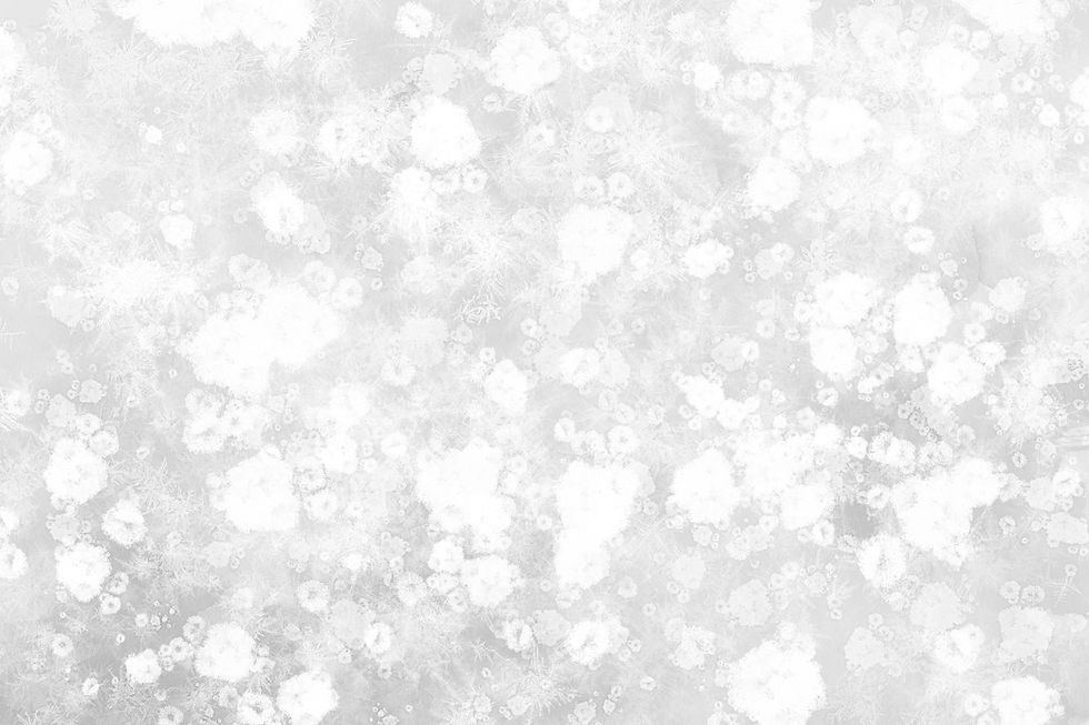 Freeze Winter Background 10.jpg